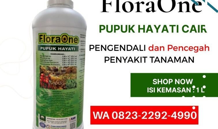 TERBUKTI!!! TELP! 0823-2292-4990, PABRIK Pupuk kakao umur 2 bulan Banggai, JUAL Pupuk kakao umur 3 bulan Donggala, AGEN Pupuk untuk kakao baru tanam Polewali Mandar