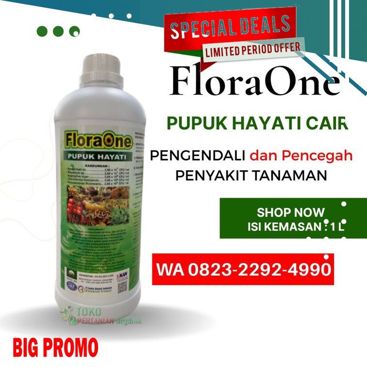 TERBUKTI!!! TELP! 0823-2292-4990, PABRIK Pupuk kakao umur 2 bulan Banggai, JUAL Pupuk kakao umur 3 bulan Donggala, AGEN Pupuk untuk kakao baru tanam Polewali Mandar