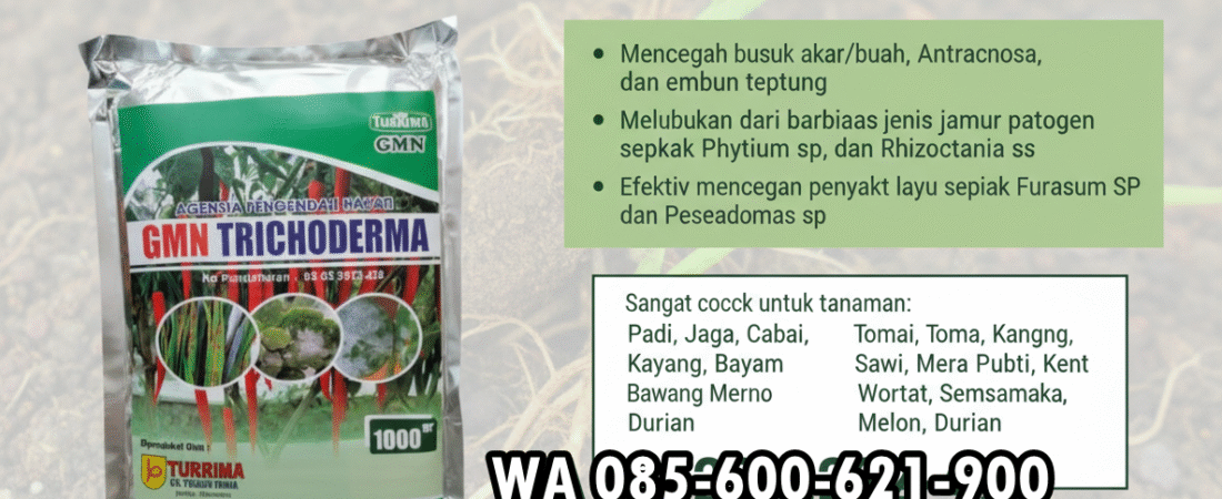 SUBUR.085-600-621-900, Harga Tricoderma untuk cabe Deli Serdang, Distributor Tricoderma untuk tanaman Pakpak Bharat,