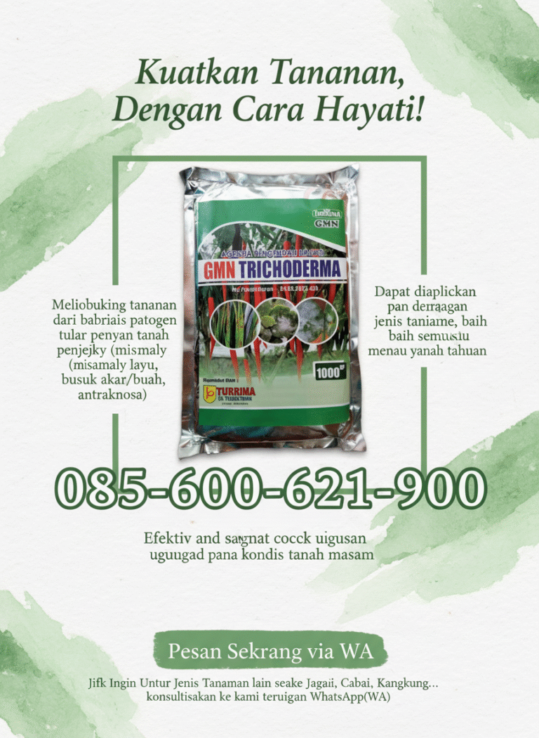 TERBATAS.085-600-621-900, Agen tricoderma untuk padi Jombang, Pabrik tricoderma untuk bawang merah Surabaya