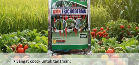 PROMO.085-600-621-900, Jual GMN Tricoderma Banjarnegara, Harga Tricoderma untuk cabe Wonosobo,