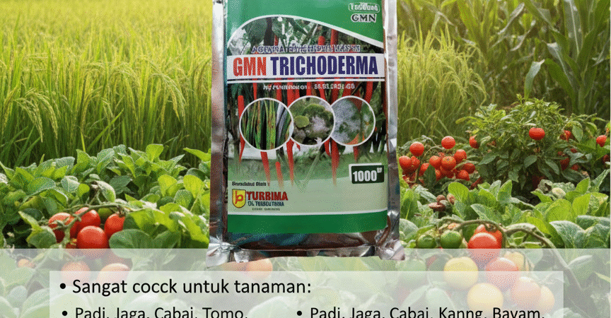 TERBAIK.085-600-621-900, Agen tricoderma untuk tomat Garut, Jual GMN Tricoderma Bandung, Harga Tricoderma untuk cabe Bandung Barat