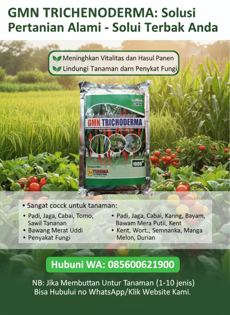 TERBATAS.085-600-621-900, Distributor Tricoderma untuk tanaman Batang, Agen tricoderma untuk padi Brebes, Pabrik tricoderma untuk bawang merah Wonosobo,