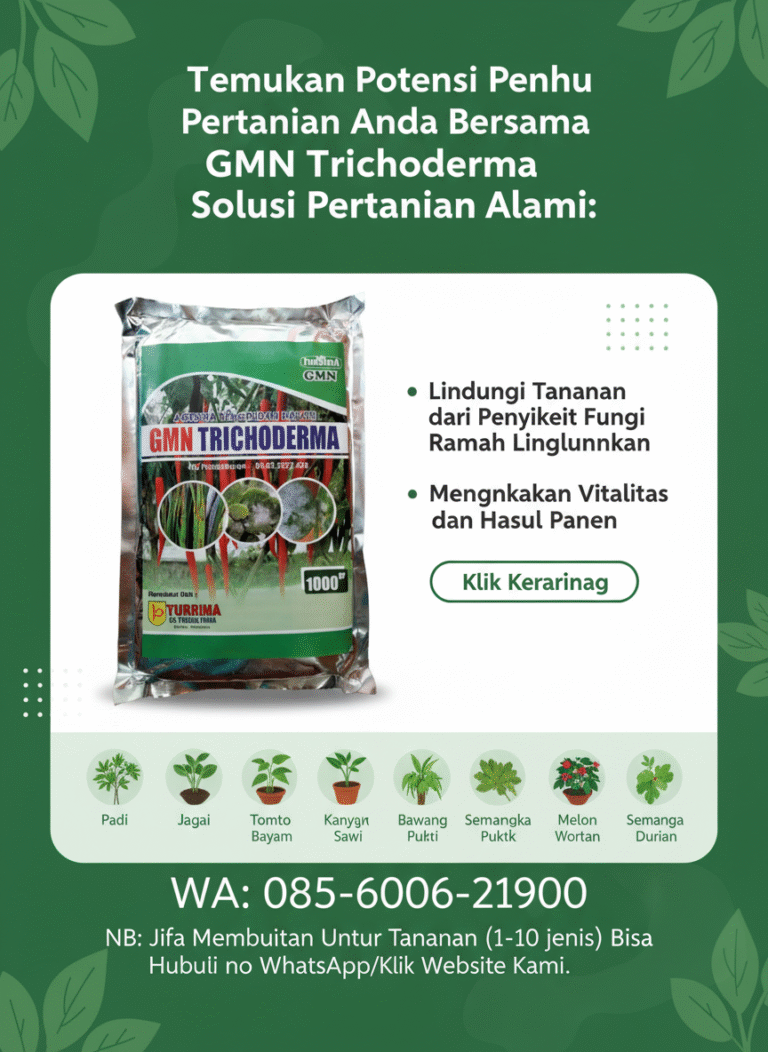 TERBAIK.085-600-621-900, Distributor tricoderma untuk pisang Cirebon, Agen tricoderma untuk tomat Garut, Jual GMN Tricoderma Bandung