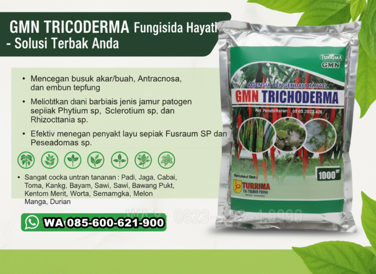 SUBUR.085-600-621-900, Distributor tricoderma untuk pisang Sukoharjo, Agen tricoderma untuk tomat Pemalang, Jual GMN Tricoderma Banjarnegara