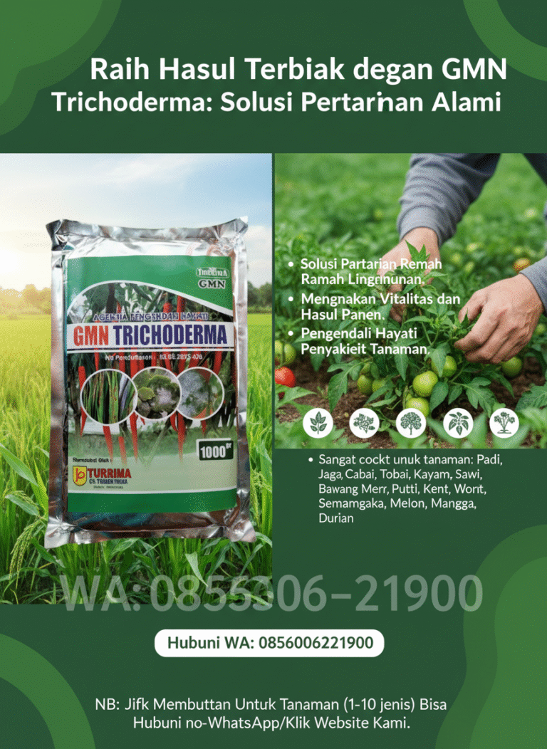 TERBAIK.085-600-621-900, Harga tricoderma untuk tembakau Sukabumi, Distributor tricoderma untuk pisang Cirebon,