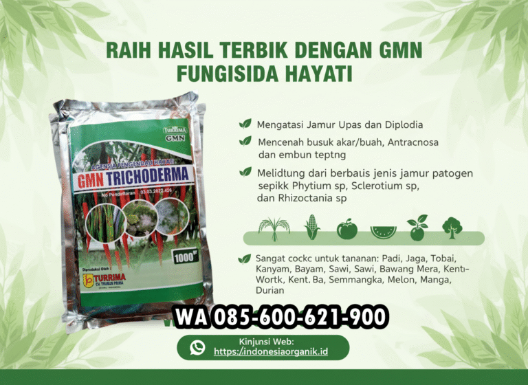 SUBUR.085-600-621-900, Jual tricoderma untuk hidroponik Semarang, Harga tricoderma untuk tembakau Temanggung