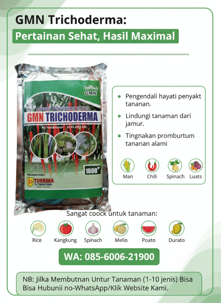 TERBARU.085-600-621-900, Pusat tricoderma untuk sawit Kuningan, Jual tricoderma untuk hidroponik Majalengka,