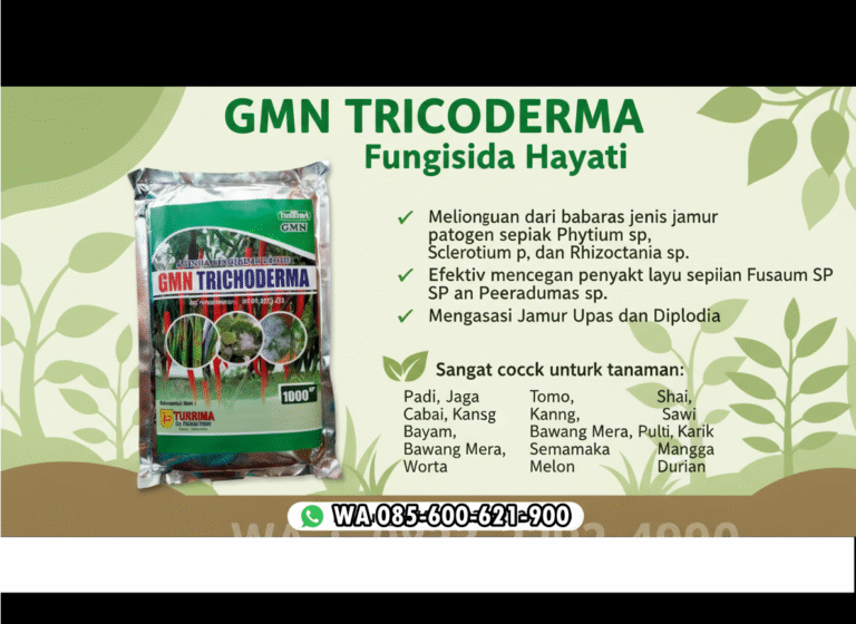 085-600-621-900, Pusat tricoderma untuk sawit Wonogiri, Jual tricoderma untuk hidroponik Semarang, Harga tricoderma untuk tembakau Temanggung,