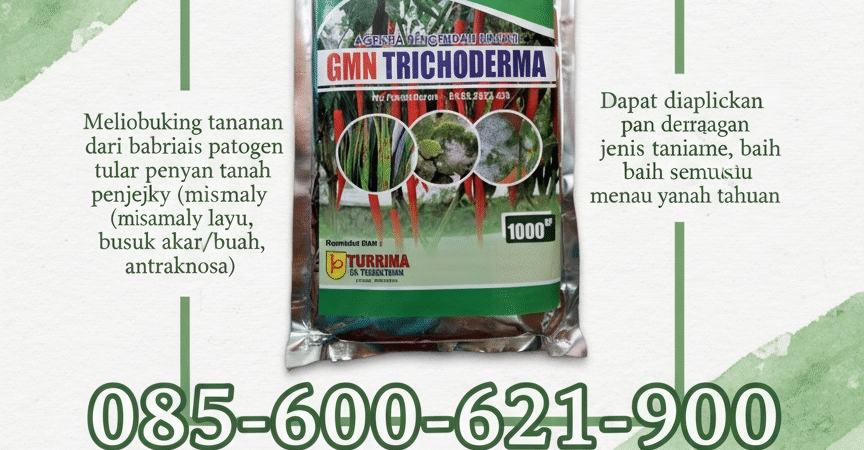 PROMO.085-600-621-900, Harga Tricoderma untuk cabe Bojonegoro, Distributor Tricoderma untuk tanaman Blitar,