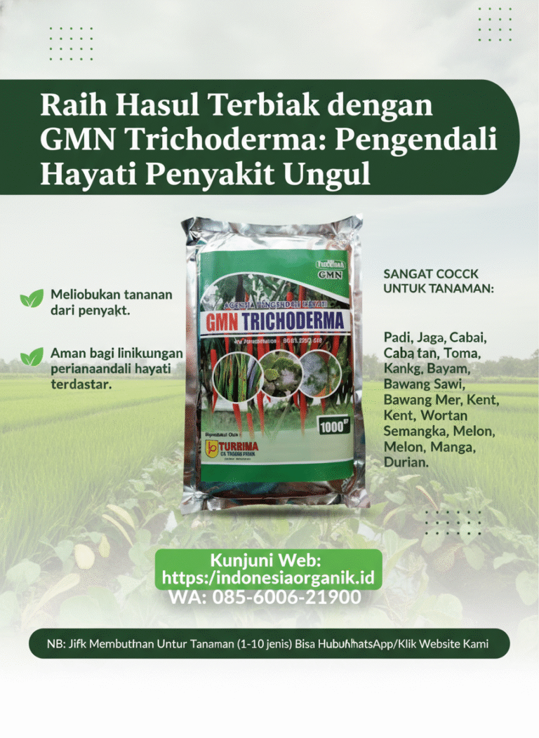 SUBUR.085-600-621-900, Agen obat busuk buah Tegal, Jual obat busuk akar cabai Magelang, Harga obat busuk batang cabe paling ampuh Brebes,