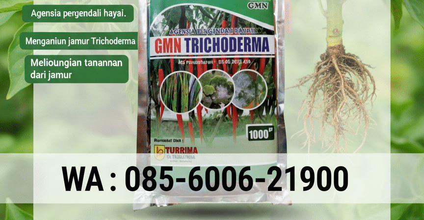 TERBATAS.085-600-621-900, Agen tricoderma untuk padi Gianyar, Pabrik tricoderma untuk bawang merah Jembrana