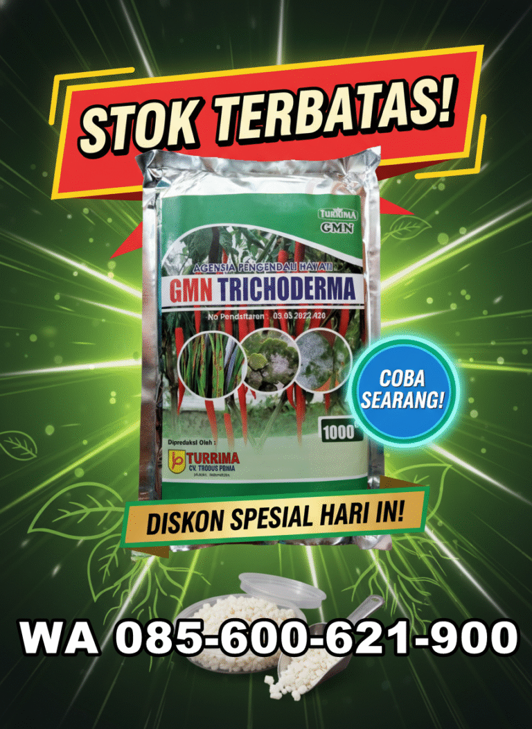 ONLINE.085-600-621-900, Agen tricoderma untuk padi depok, Pabrik tricoderma untuk bawang merah Kemayora,