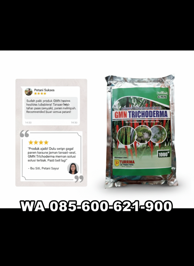 ASLI.085-600-621-900, Agen tricoderma untuk tomat Tasikmalaya, Jual GMN Tricoderma jakarta selatan,
