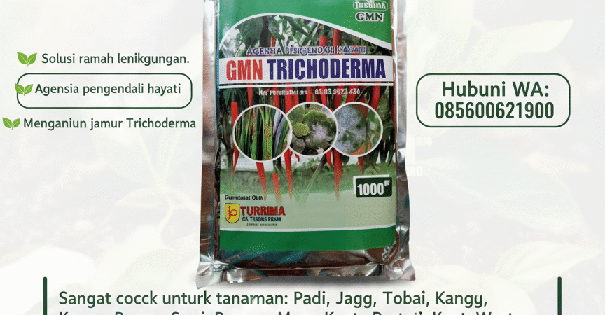 ASLI.085-600-621-900, Distributor Tricoderma untuk tanaman Buleleng, Agen tricoderma untuk padi Gianyar,