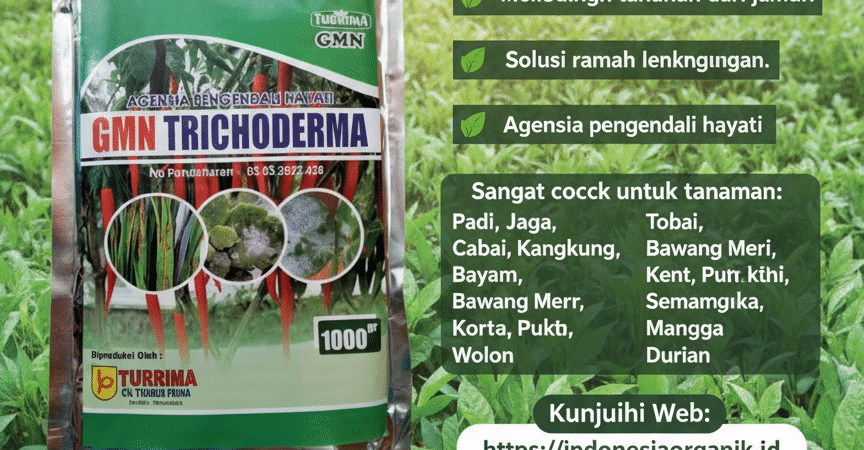 SUBUR.085-600-621-900, Agen tricoderma untuk tomat Bali, Jual GMN Tricoderma Badung, Harga Tricoderma untuk cabe Bangli,