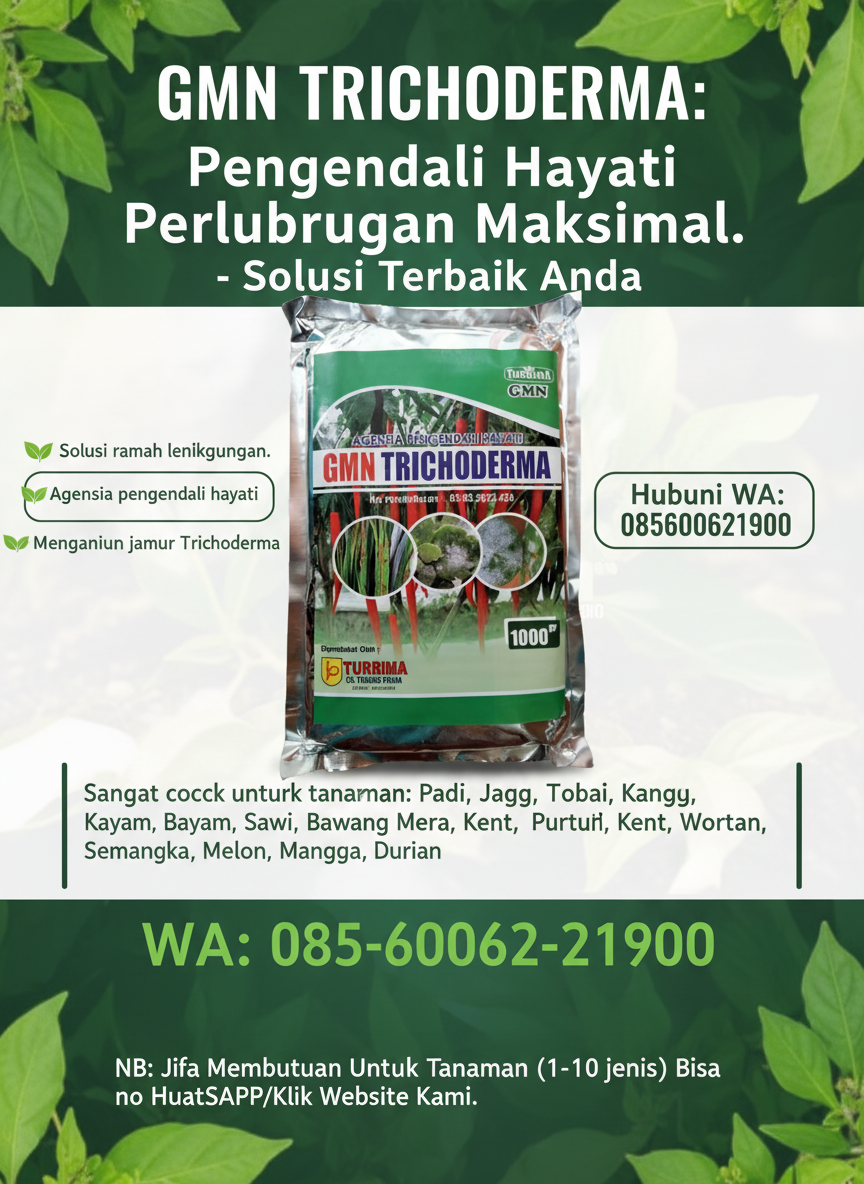 ASLI.085-600-621-900, Distributor Tricoderma untuk tanaman Buleleng, Agen tricoderma untuk padi Gianyar,