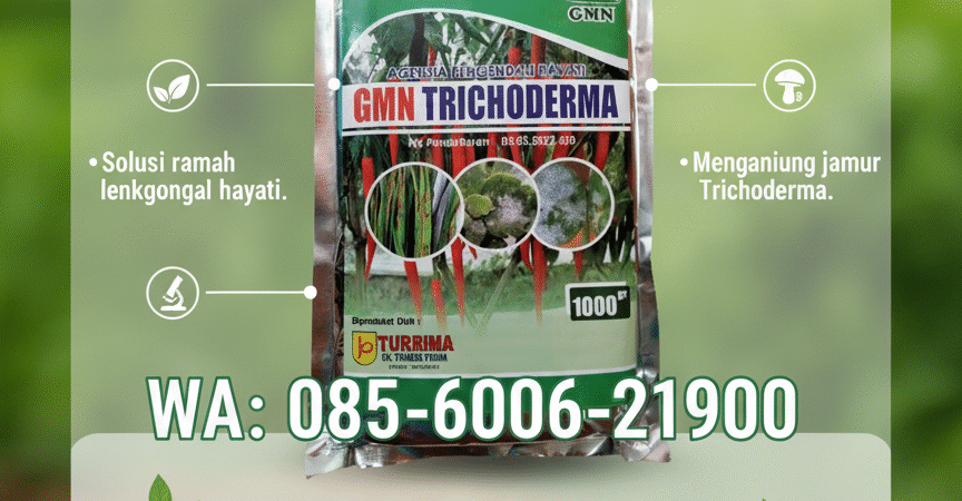 ALAMI.085-600-621-900, Distributor tricoderma untuk pisang Kota Denpasar, Agen tricoderma untuk tomat Bali,