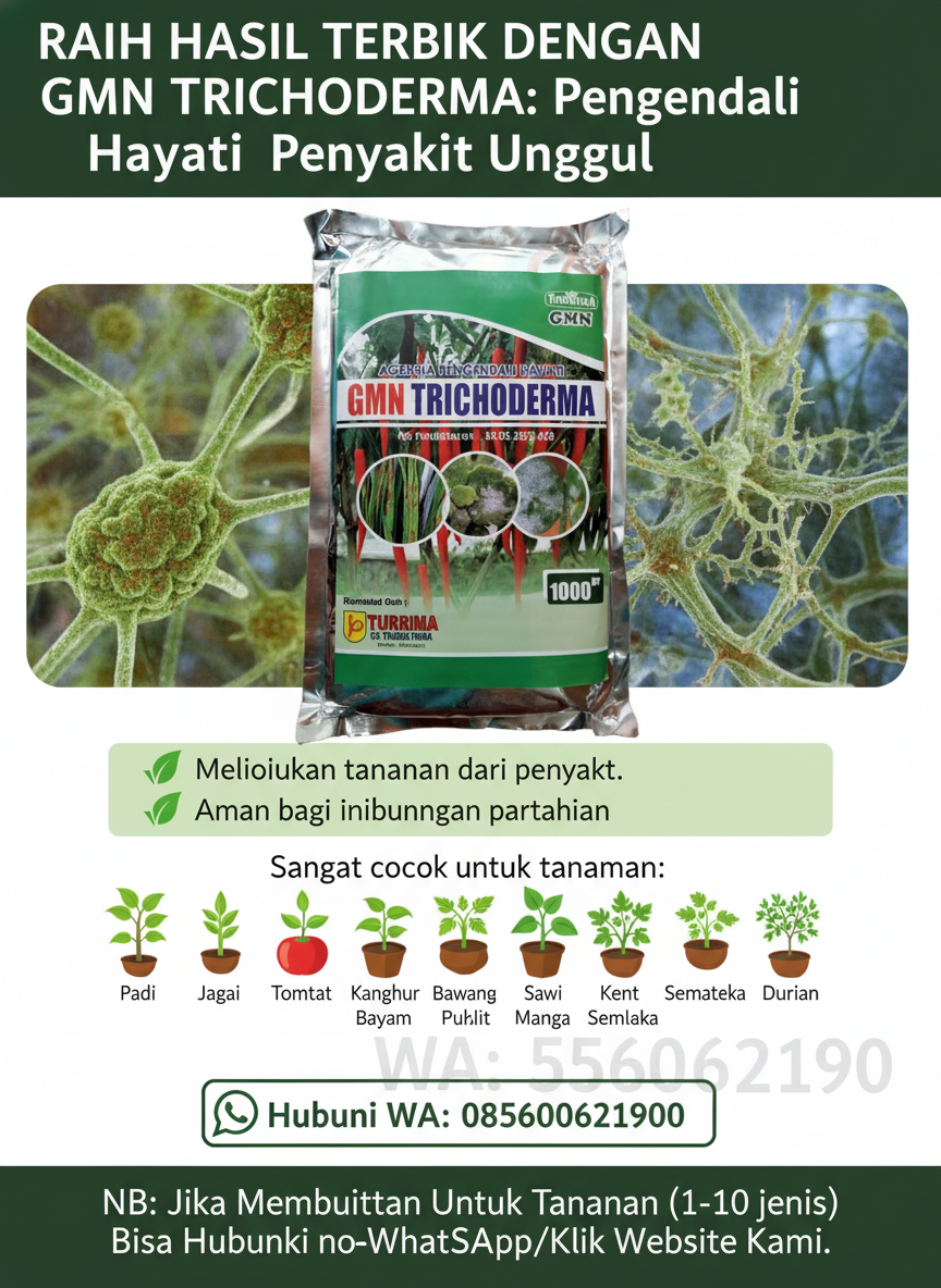 PROMO.085-600-621-900, Harga obat busuk batang cabe paling ampuh Brebes, Distributor obat busuk akar Semarang,
