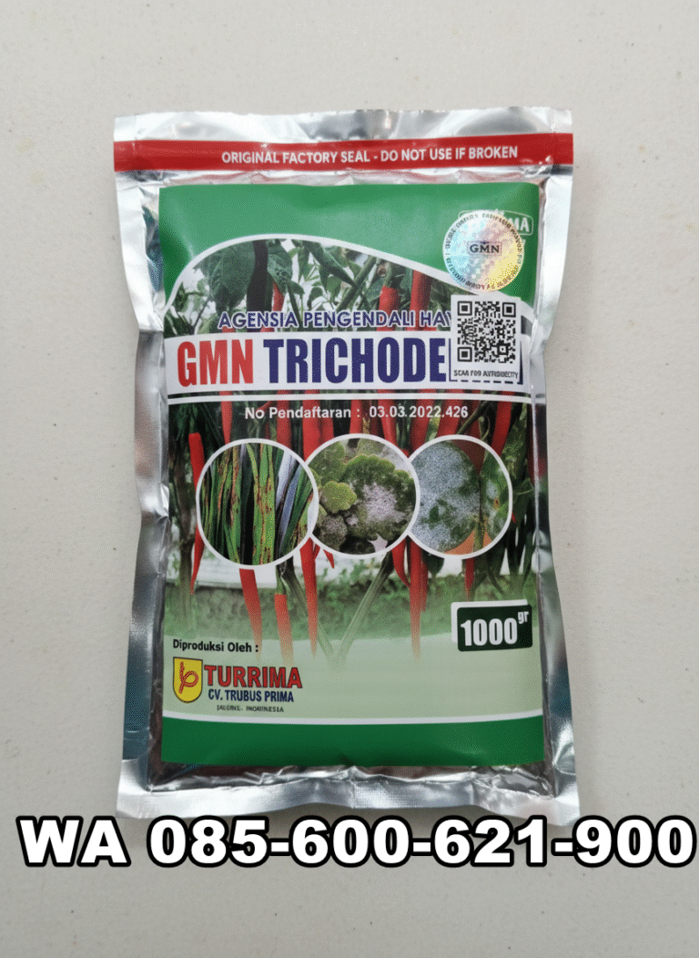 085-600-621-900, Harga tricoderma untuk tembakau Cikampek, Distributor tricoderma untuk pisang Cirebon, Agen tricoderma untuk tomat Tasikmalaya, Jual GMN Tricoderma jakar