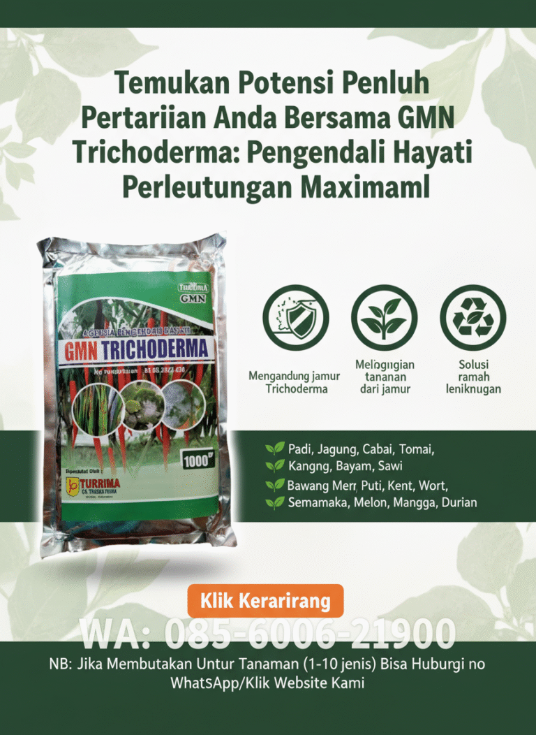 SUBUR.085-600-621-900, Jual GMN Tricoderma Badung, Harga Tricoderma untuk cabe Bangli