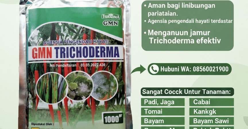 SUBUR.085-600-621-900, Jual obat busuk akar bawang merah Banjarnegara, Harga obat busuk batang jagung palig ampuh Pati,