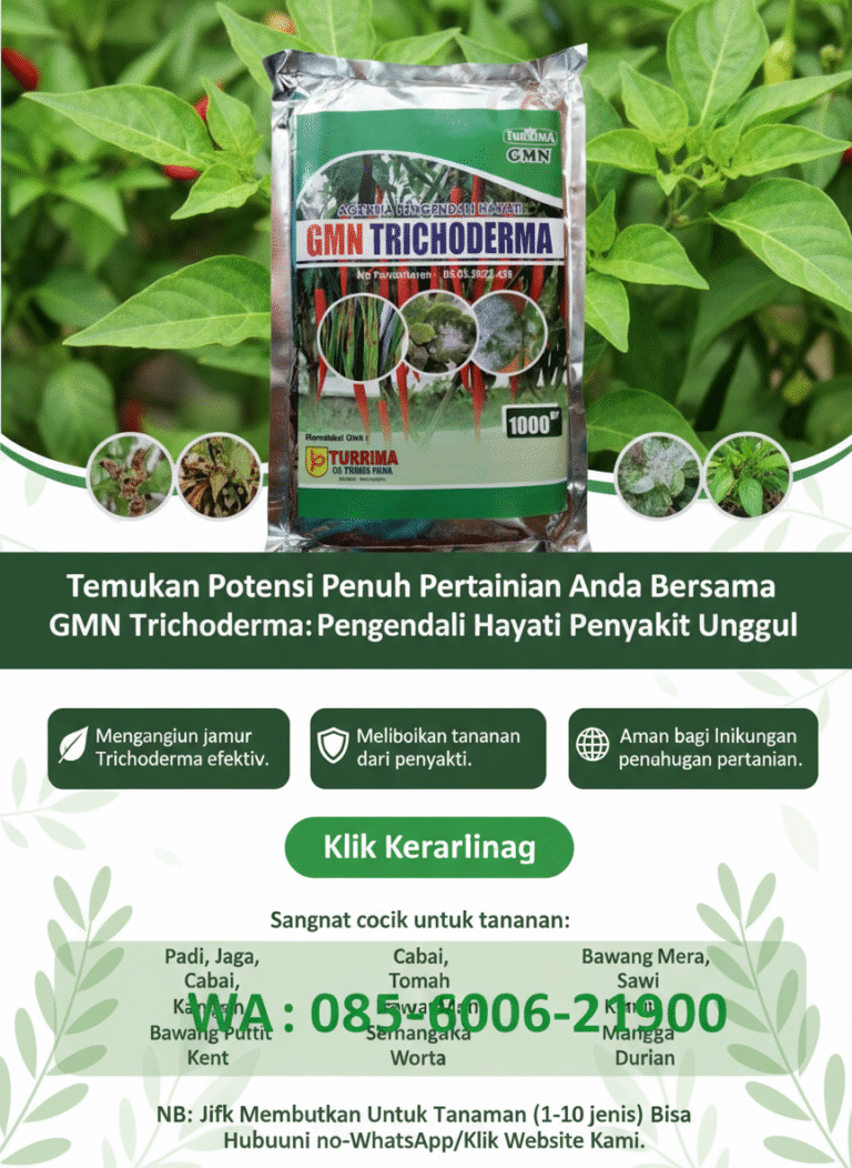 PROMO.085-600-621-900, Jual obat busuk akar cabai Magelang, Harga obat busuk batang cabe paling ampuh Brebes,