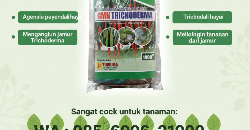 TERLARIS.085-600-621-900, Jual tricoderma untuk hidroponik Klungkung, Harga tricoderma untuk tembakau Tabanan,