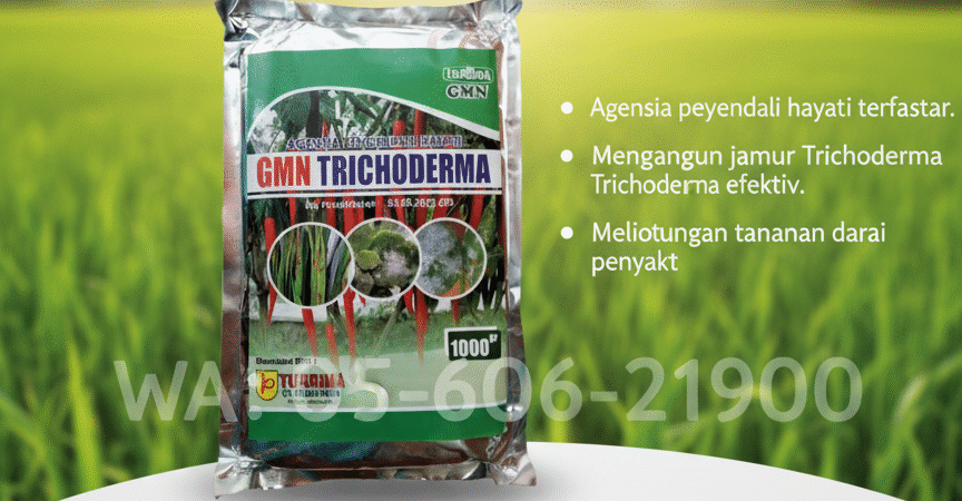 PROMO.085-600-621-900, Pabrik obat busuk daun cabe Karanganyar, Pusat obat busuk akar pada tanaman padi Temanggung