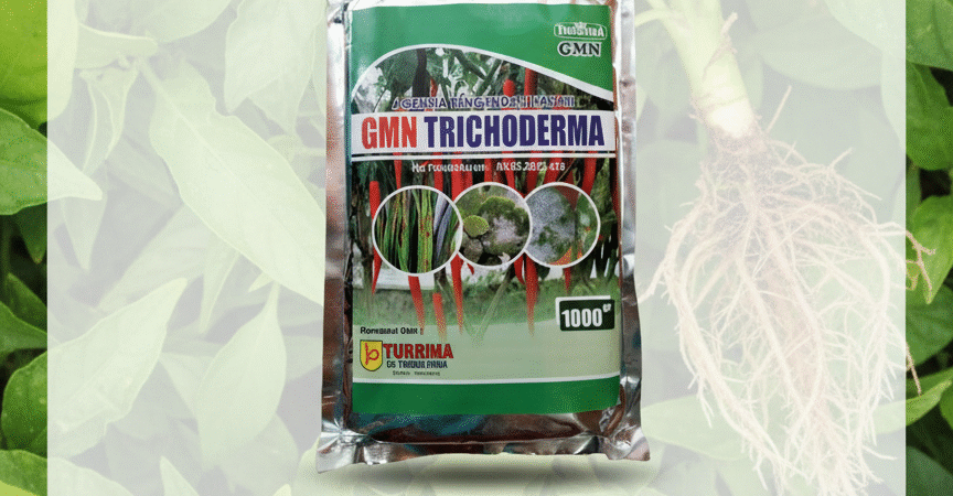 ASLI.085-600-621-900, Pabrik tricoderma untuk bawang merah Jembrana, Pusat tricoderma untuk sawit Karangasem,