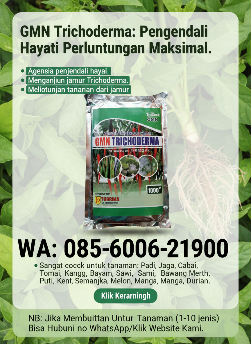 ASLI.085-600-621-900, Pabrik tricoderma untuk bawang merah Jembrana, Pusat tricoderma untuk sawit Karangasem,