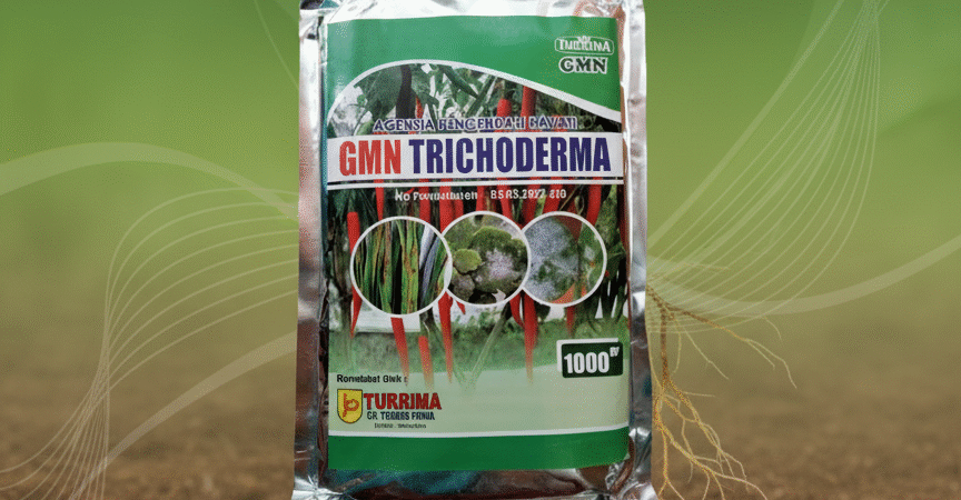 TERBATAS.085-600-621-900, Pusat obat busuk akar pada tanaman padi Temanggung, Jual obat busuk akar bawang merah Banjarnegara