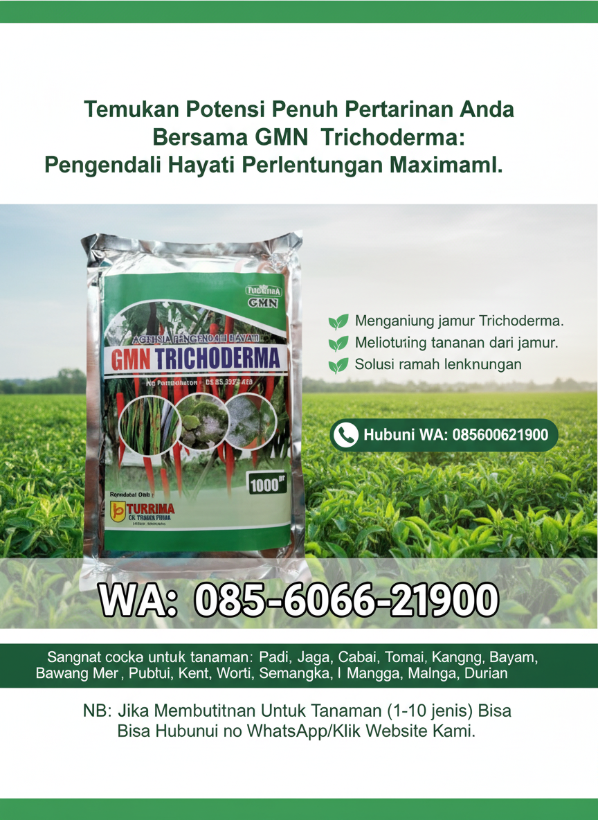 PROMO.085-600-621-900, Pusat tricoderma untuk sawit Karangasem, Jual tricoderma untuk hidroponik Klungkung,
