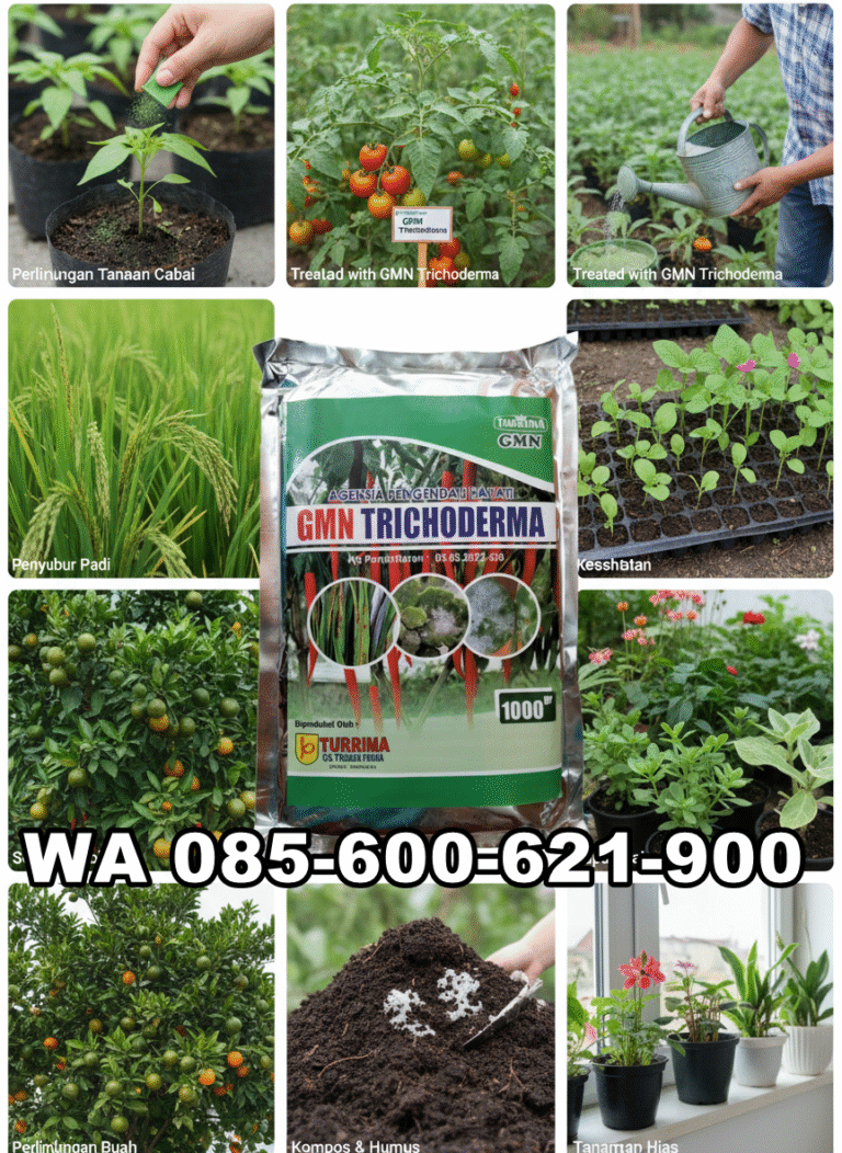 TERBATAS.085-600-621-900, Distributor tricoderma untuk pisang Cirebon, Agen tricoderma untuk tomat Tasikmalaya,