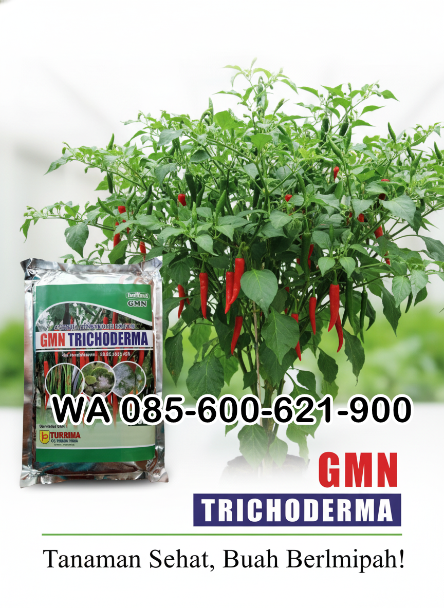 085-600-621-900, Agen obat busuk batang Bekasi, Pabrik obat busuk daun cabe Cianjur, Pusat obat busuk akar