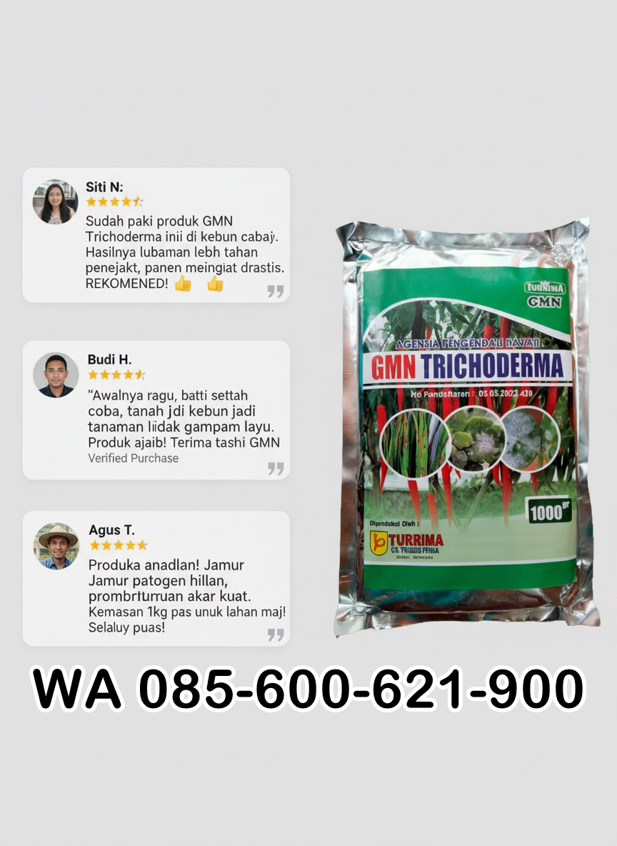 TERBAIK.085-600-621-900, Agen obat busuk batang Jombang, Pabrik obat busuk daun cabe Surabaya, Pusat obat busuk akar