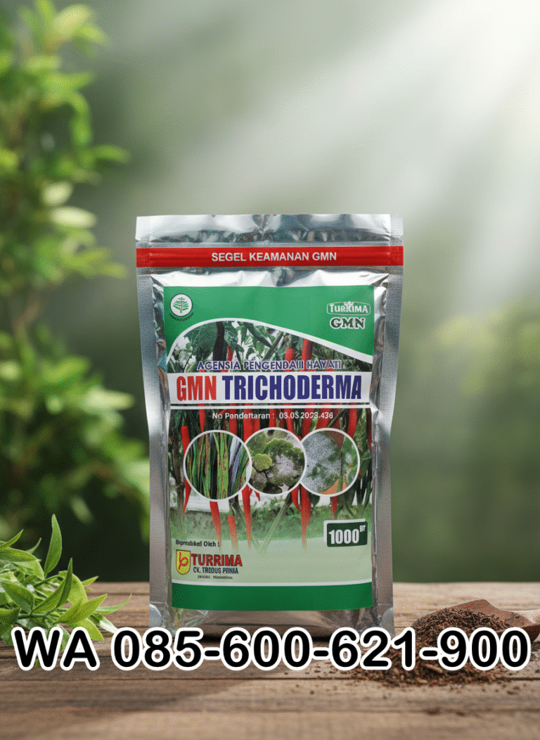 ASLI.085-600-621-900, Agen obat busuk buah Bandung, Jual obat busuk akar cabai Indramayu,