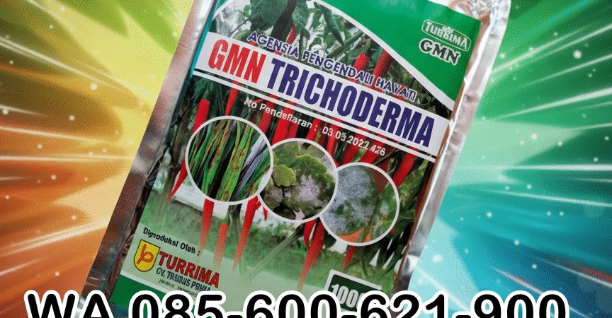 TERBAIK.085-600-621-900, Agen trichoderma untuk padi, Pabrik trichoderma untuk sawit, Pusat trichoderma untuk hidroponik