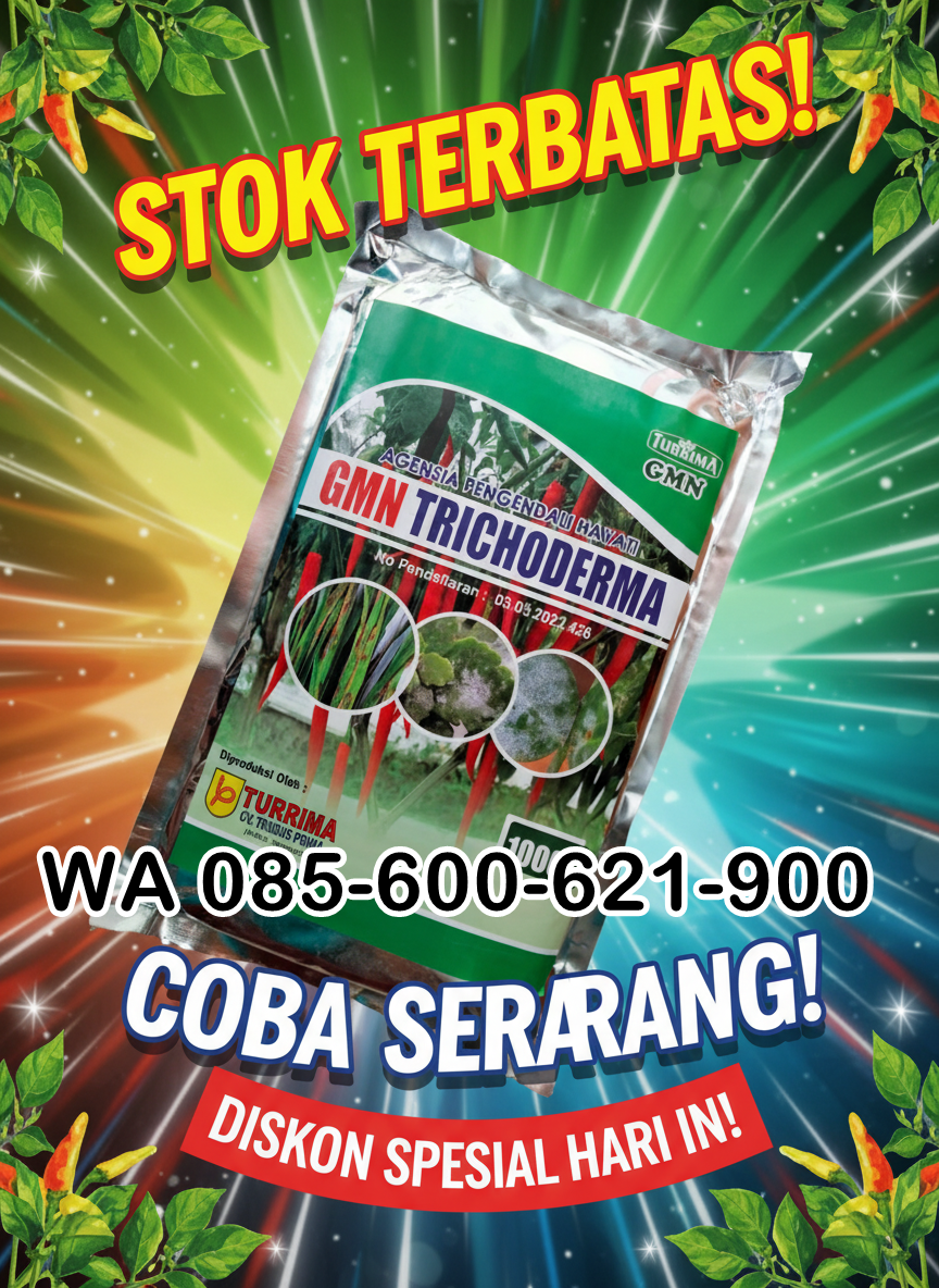 TERBAIK.085-600-621-900, Agen trichoderma untuk padi, Pabrik trichoderma untuk sawit, Pusat trichoderma untuk hidroponik