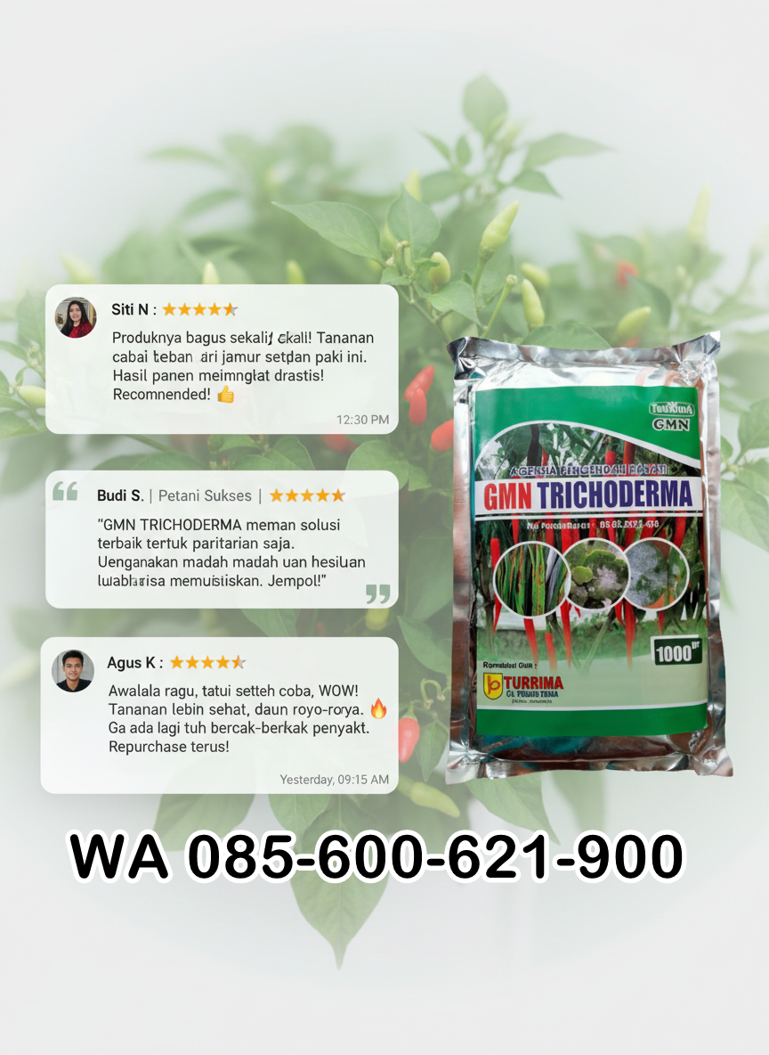 085-600-621-900, Distributor obat busuk akar Blitar, Agen obat busuk batang Jombang, Pabrik obat busuk