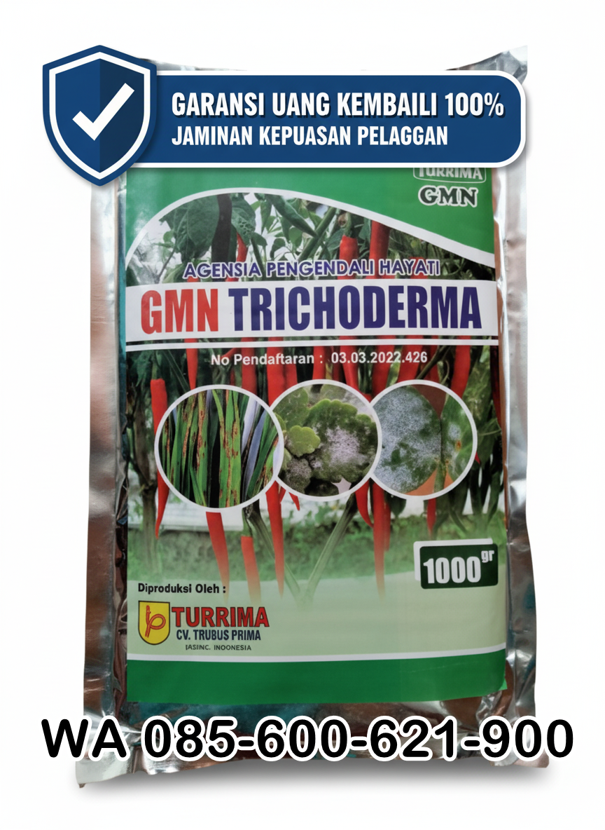 SUBUR.085-600-621-900, Distributor obat busuk akar Subang, Agen obat busuk batang Bekasi, Pabrik obat busuk daun cabe Cianjur,