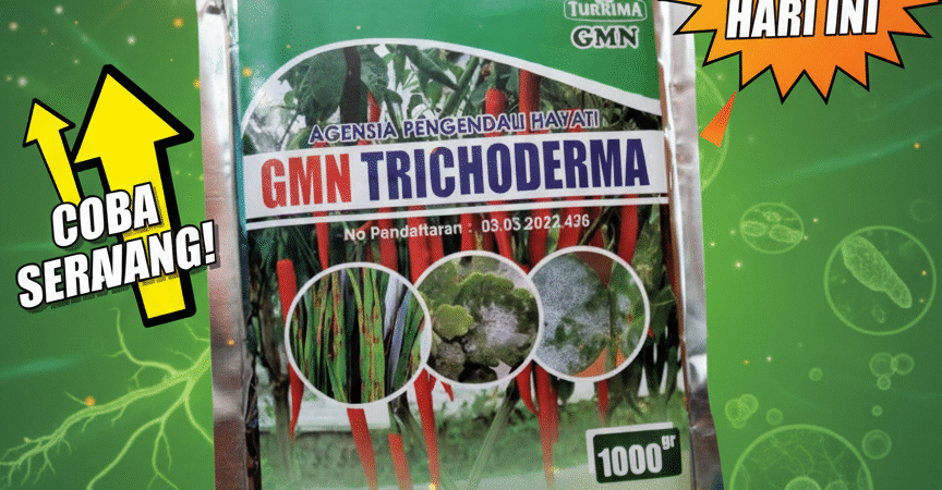 ALAMI.085-600-621-900, Distributor obat busuk batang padi Ciamis, Agen obat busuk buah Bandung