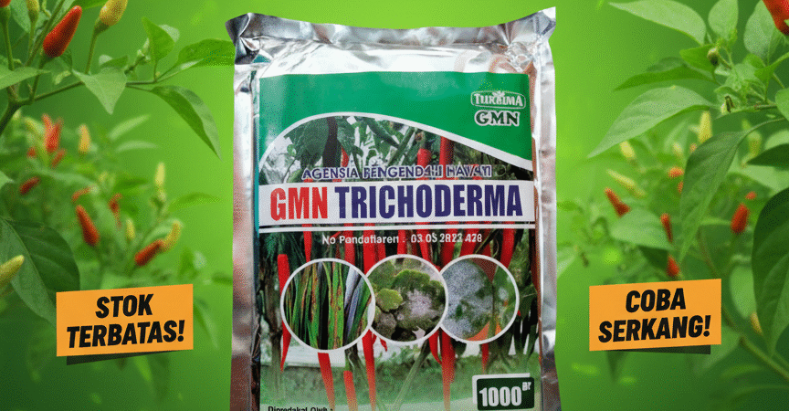 DISKON.085-600-621-900, Distributor obat busuk batang padi Tulungagung, Agen obat busuk buah Probolinggo,