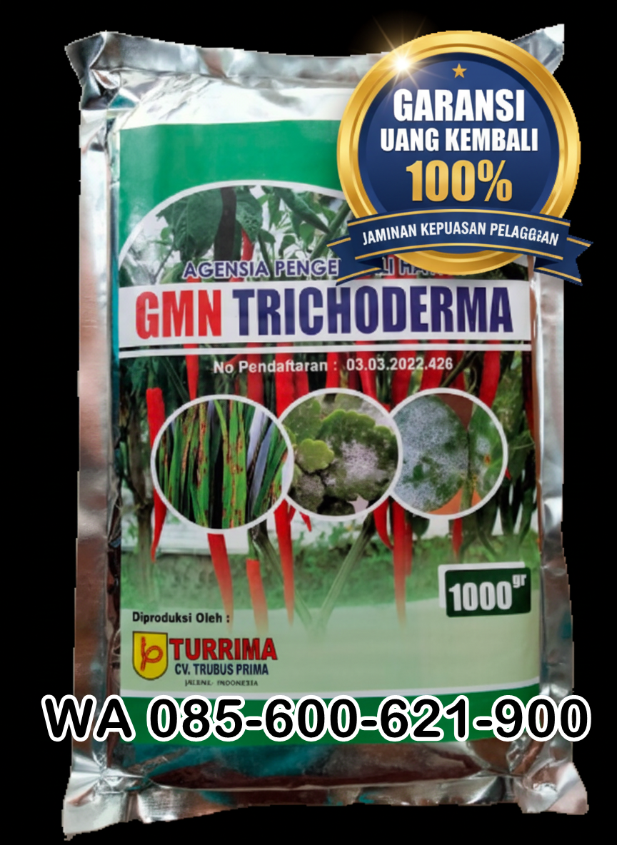 TERBAIK.085-600-621-900, Distributor trichoderma untuk antraknosa, Agen trichoderma untuk anggur, Jual trichoderma untuk layu fusarium