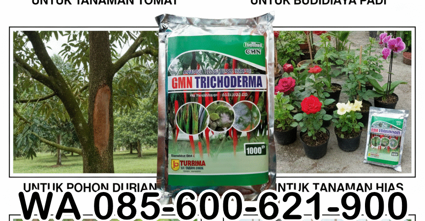 085-600-621-900, Distributor trichoderma untuk bawang merah, Agen trichoderma untuk padi, Pabrik trichoderma untuk sawit,