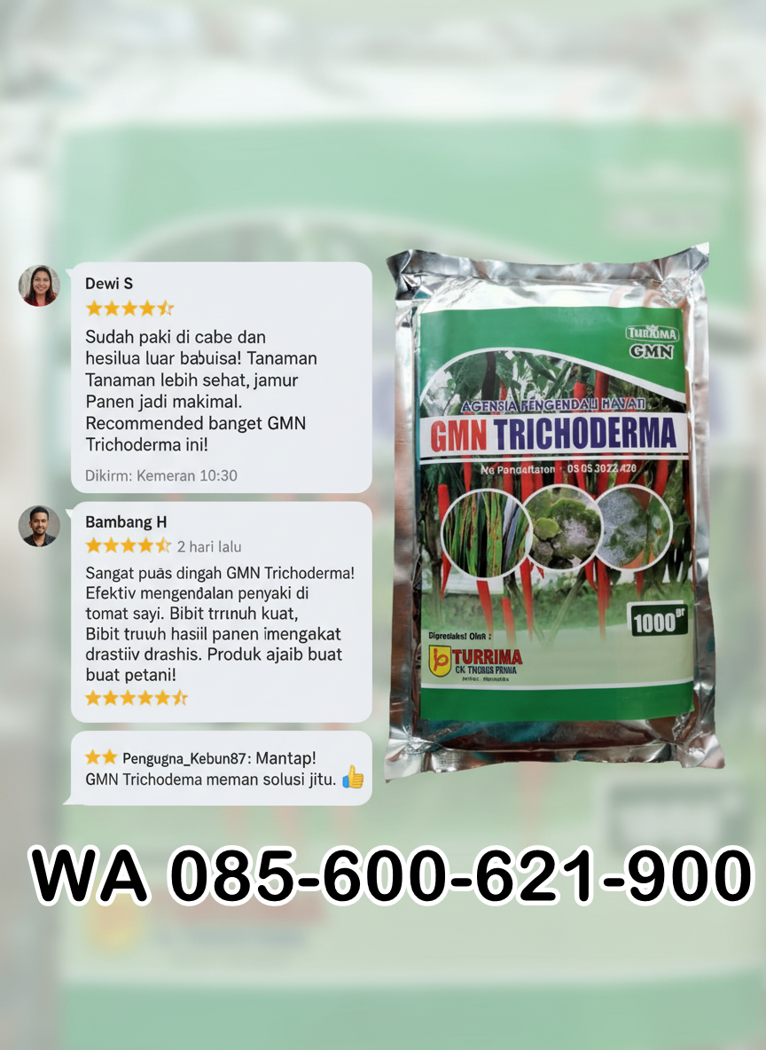 BERKUALITAS.085-600-621-900, Distributor trichoderma untuk bawang merah Lampung timur, Agen trichoderma untuk padi Way Kanan
