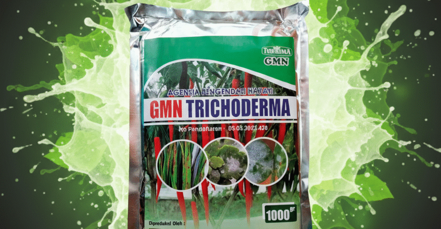 ONLINE.085-600-621-900, Harga obat busuk batang cabe paling ampuh Bojonegoro, Distributor obat busuk akar Blitar,