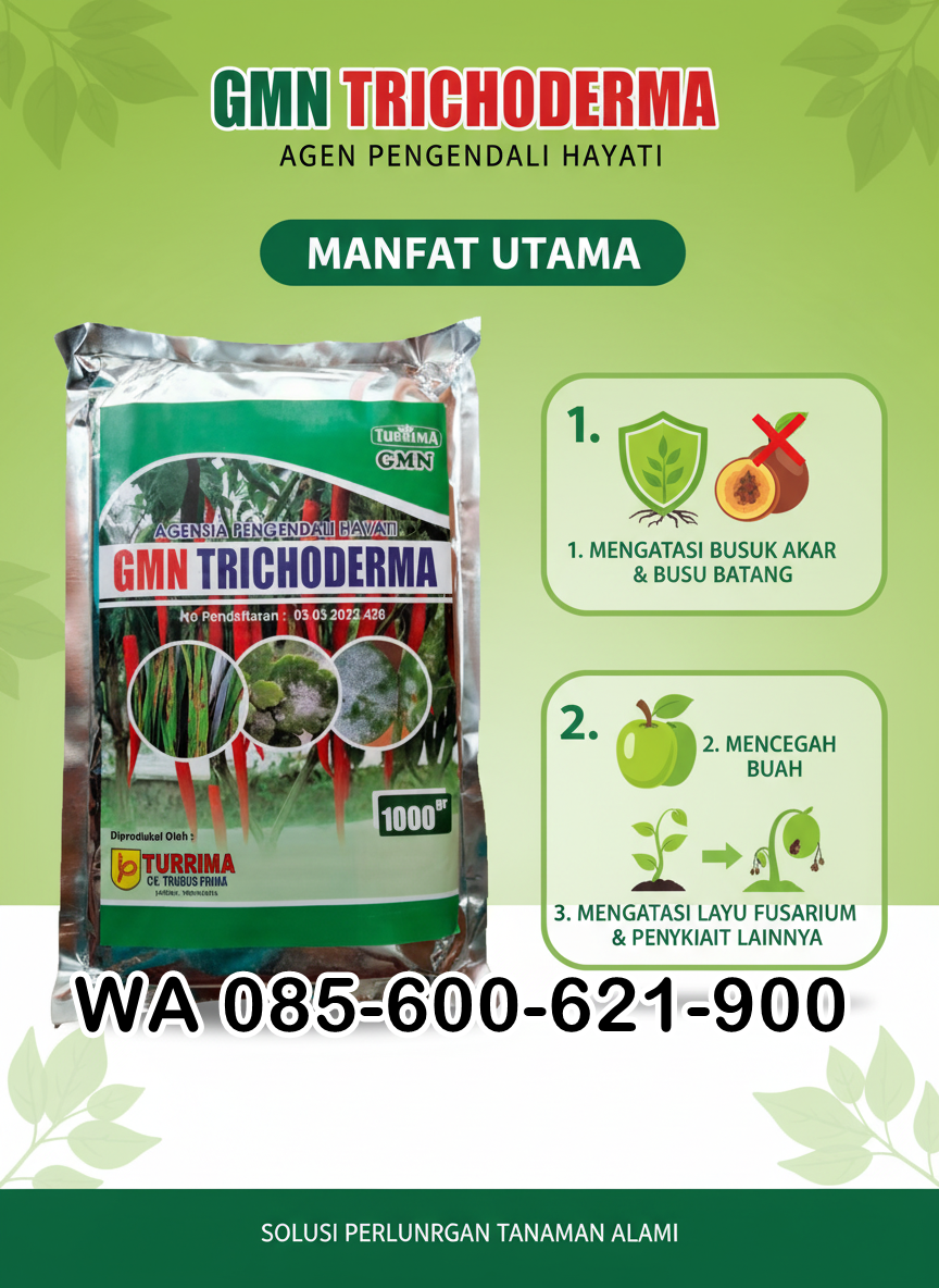 TERBUKTI.085-600-621-900, Harga trichoderma untuk cabe Lampung selatan, Distributor trichoderma untuk bawang merah Lampung timur,