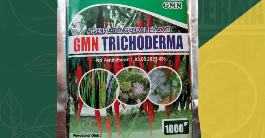TERBAIK.085-600-621-900, Harga trichoderma untuk kompos Pesawaran, Distributor trichoderma untuk antraknosa Tanggamus