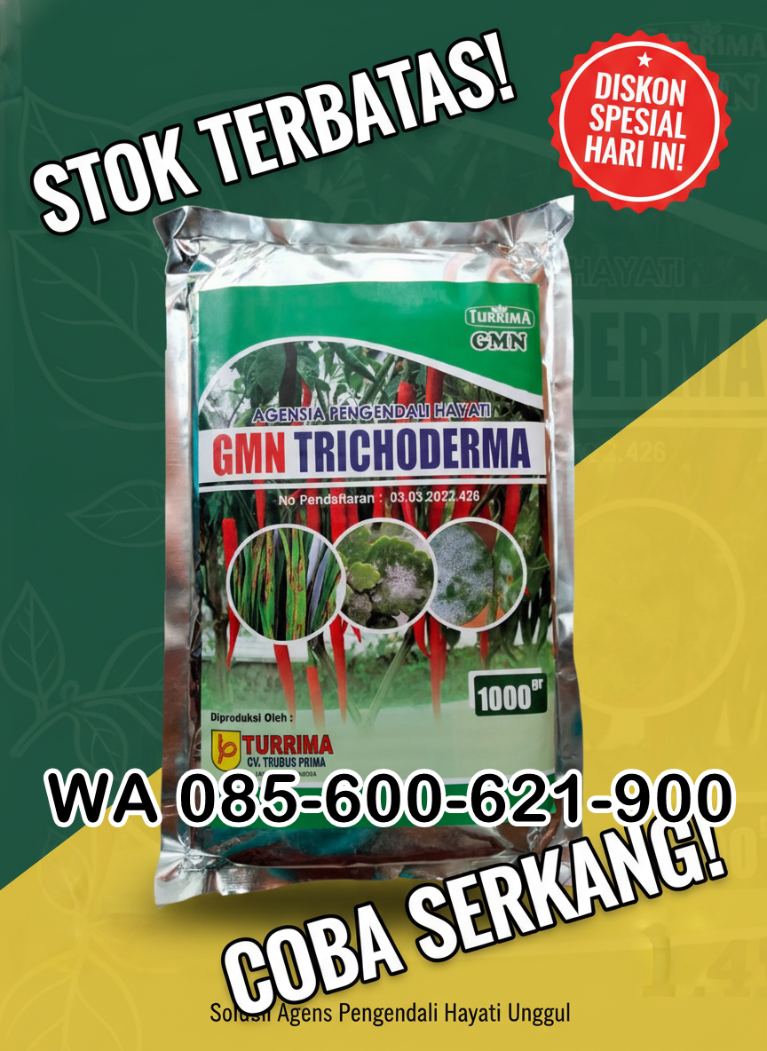TERBAIK.085-600-621-900, Harga trichoderma untuk kompos Pesawaran, Distributor trichoderma untuk antraknosa Tanggamus